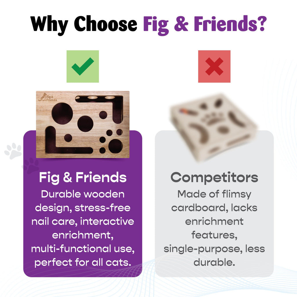 Cat Nail File Enrichment Box